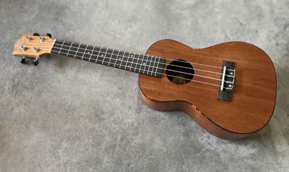ukulélé Prodipe B210